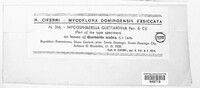 Mycosphaerella guettardina image